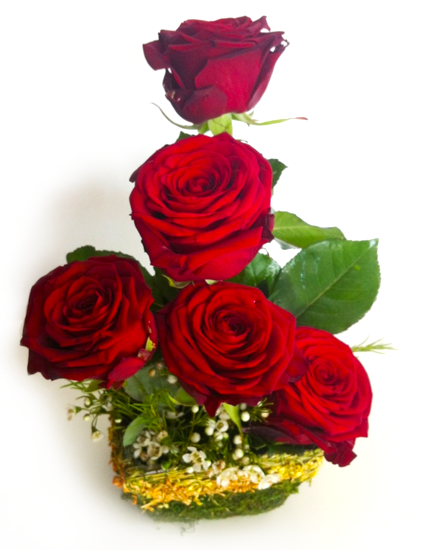 Cosuri cu flori - Cosulet cu trandafiri si verdeata decorativa