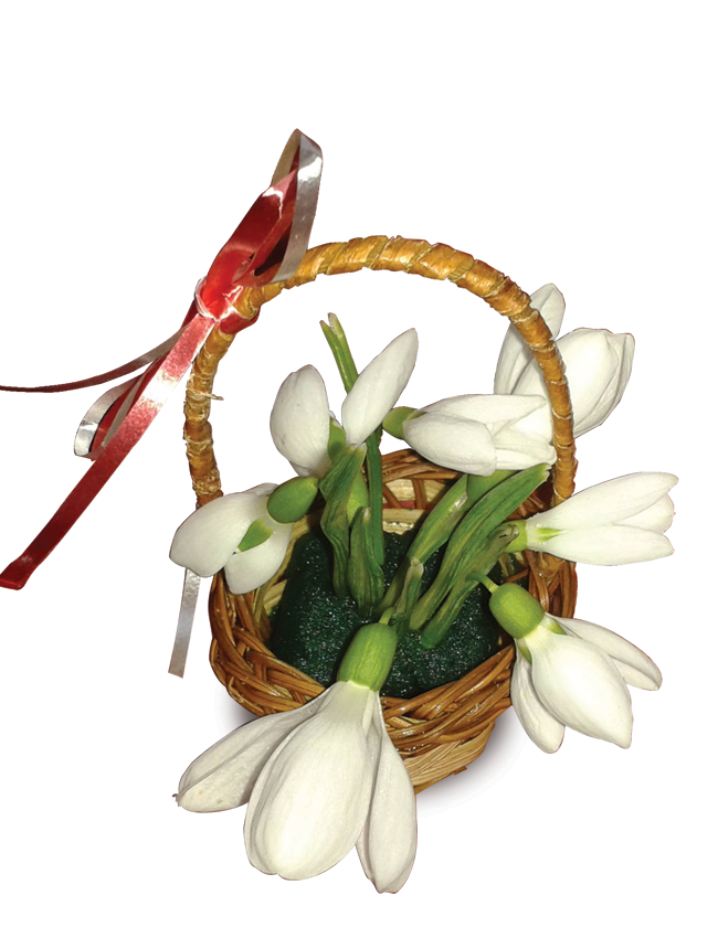 Florarie online - Ghiocei in cosulet de nuiele