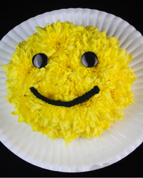 Aranjamente - Smiley face din crizanteme galbene