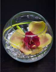 Aranjamente - Aranjament in bol cu orhidee cymbidium