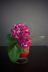 Aranjamente-Aranjament cu hortensie si verdeata decorativa
