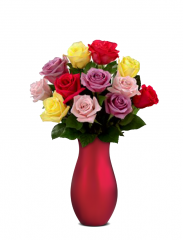 buchet de flori - Buchet de trandafiri multicolori