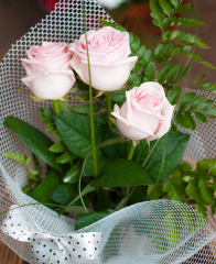 buchete de flori - buchet de 3 trandafiri