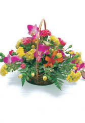 Cosuri cu flori - Cos cu orhidee si garoafe