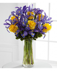 Buchete de flori - Buchet de trandafiri galbeni cu irisi albastrii