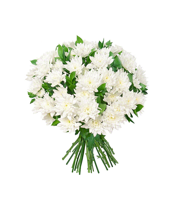 Buchete de flori - Buchet cu crizanteme albe