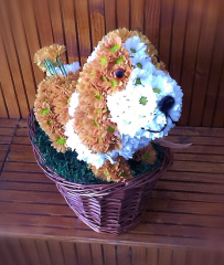 Aranjamente-Animale din flori-Basset 2