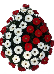 Coroane funerare - Coroana funerara gerbera alba si rosie