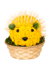 Animale din flori - Arici