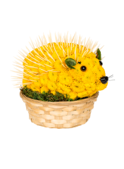 Animale din flori - Arici