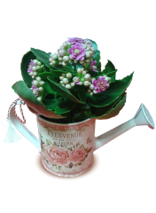 Aranjamente florale - Stropitoare cu kalanchoe de interior