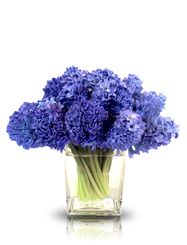 Buchete de flori - Buchet de 15 zambile albastre